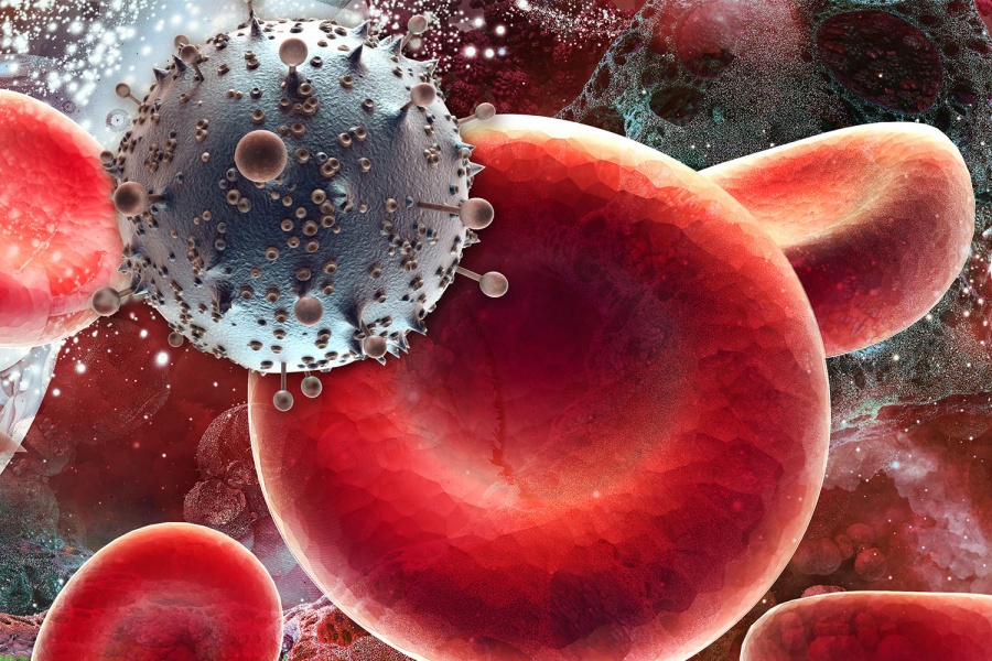 вирус ВИЧ поражает клетки иммунитета в крови