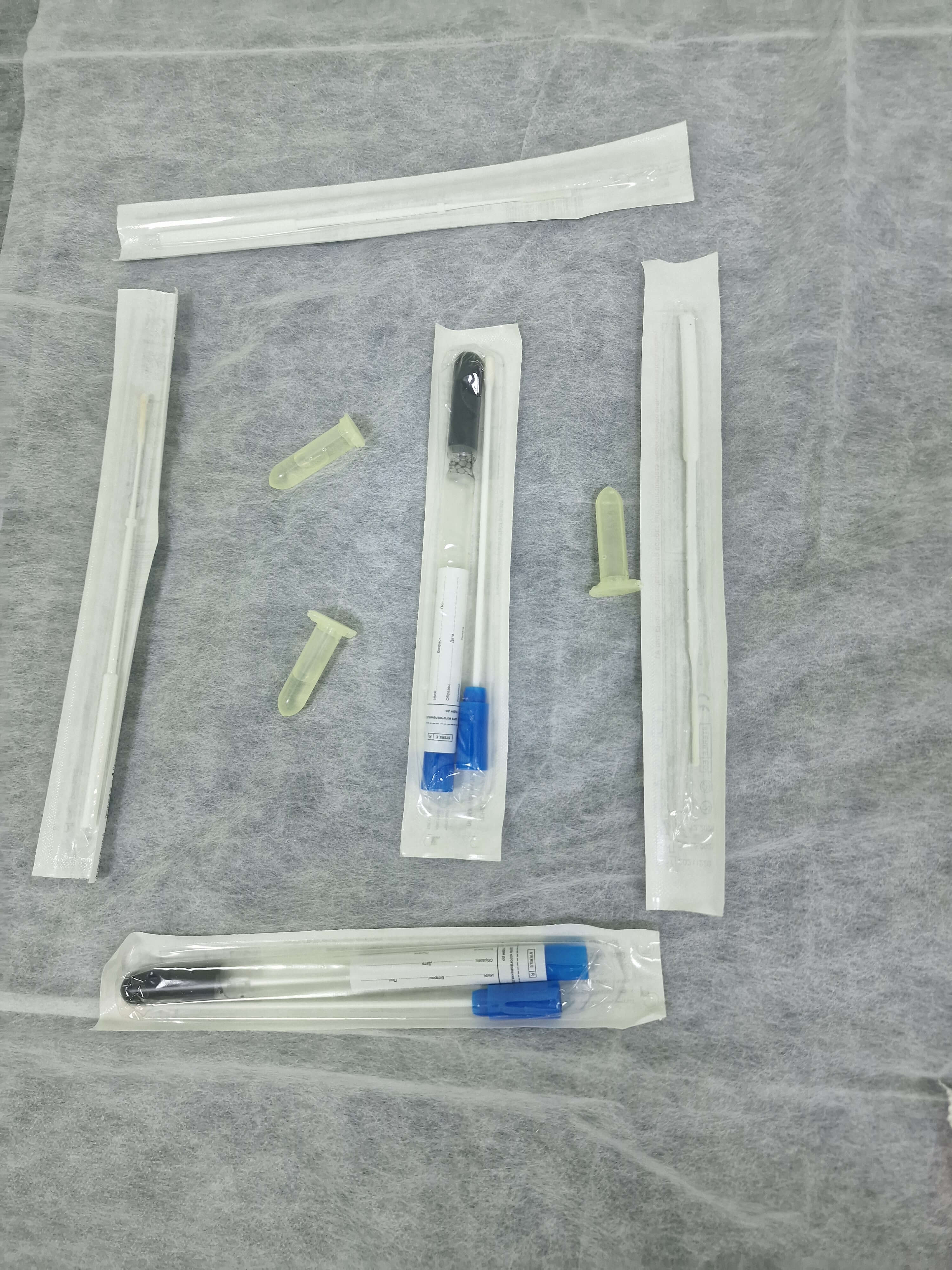 зонды поиск микоплазмы