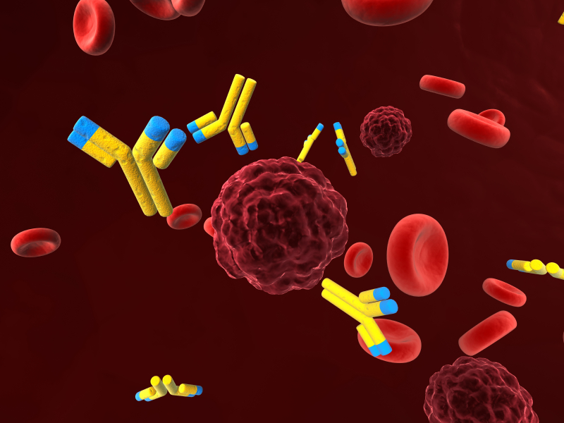 кровь исследуется иммуноферментным анализом на антитела к трепонеме.