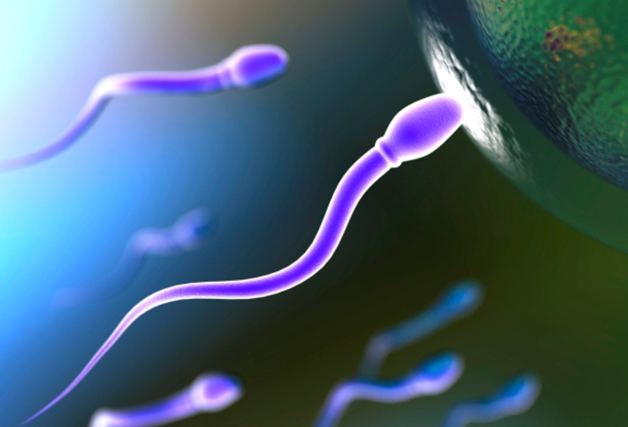 Исследование спермы