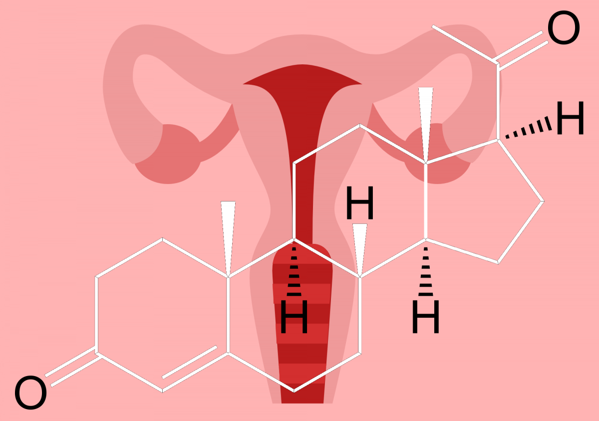 половой гормон прогестерон