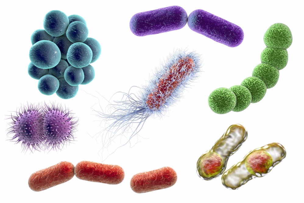 Бактерии и вирусы возбудители ИППП