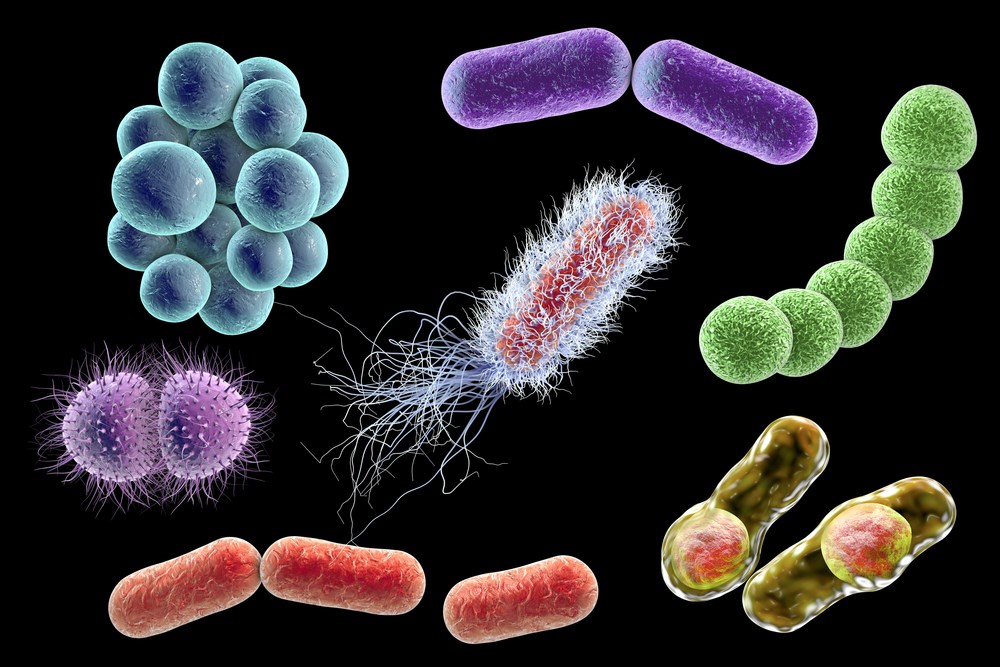 Болезнетворные бактерии и вирусы