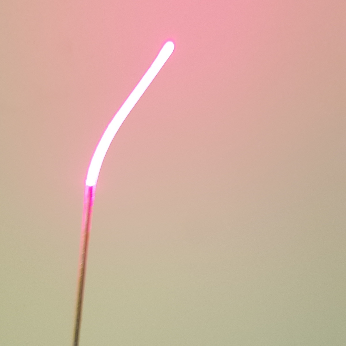 Фотодинамика Фотодинамика