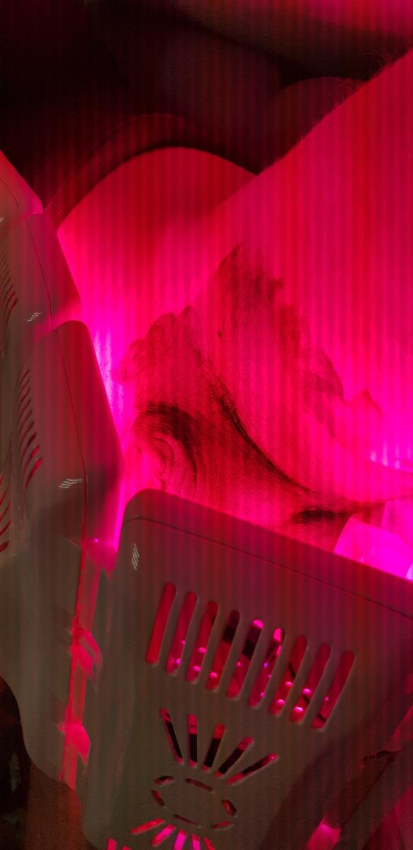 фотодинапмимка