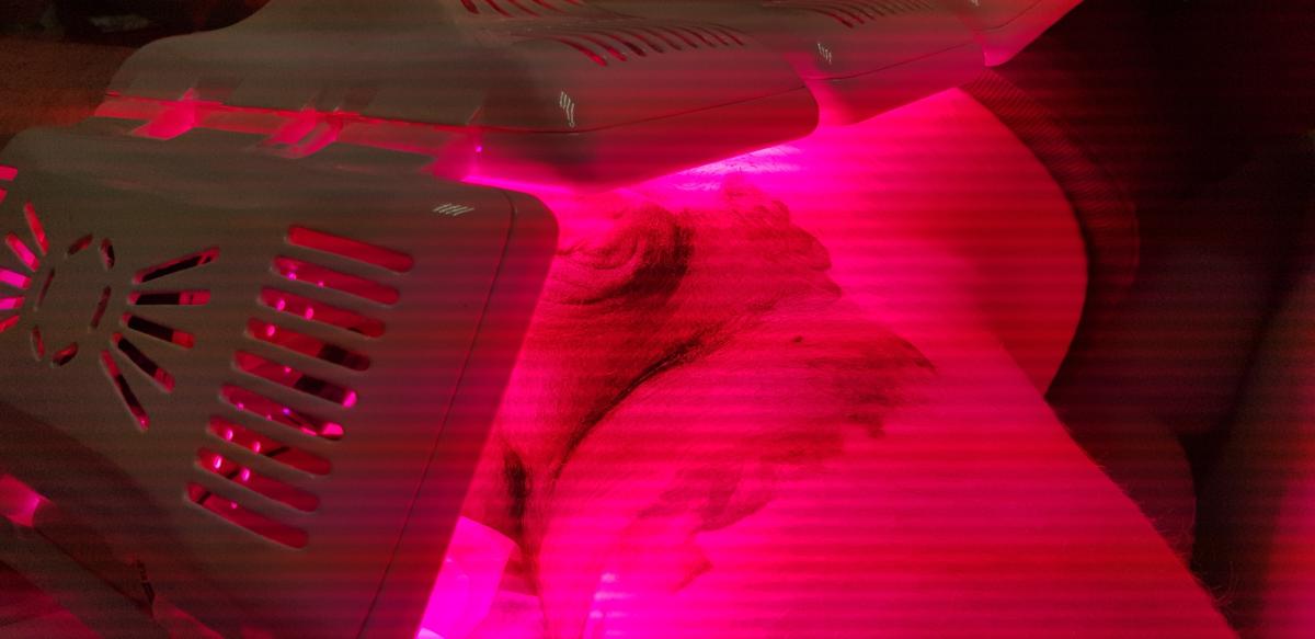 фотодинамика