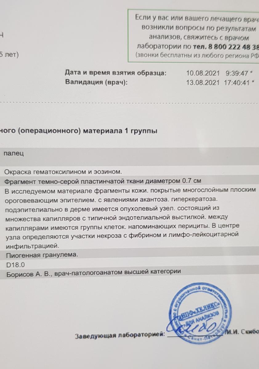 гистология