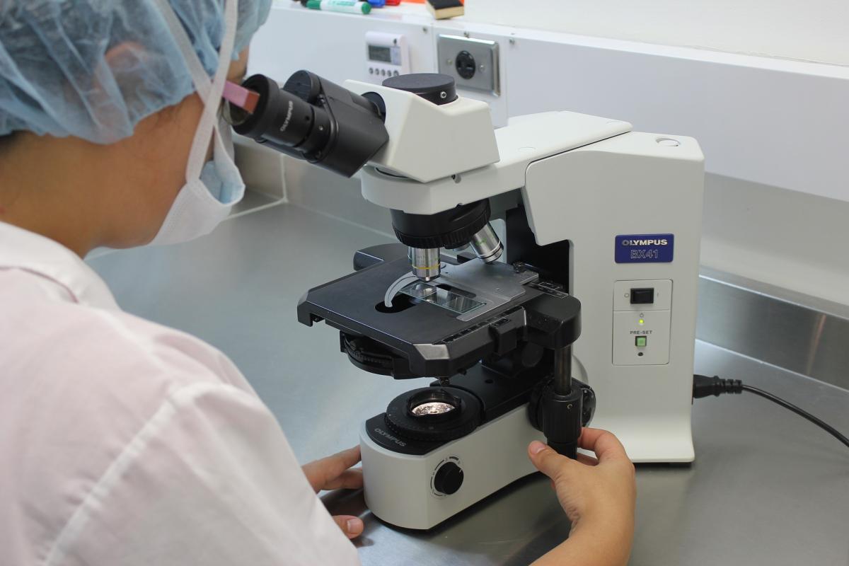 Лаборант исследует под микроскопом биоматериал на клеща демодекс