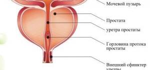 Плохая моча при простатите