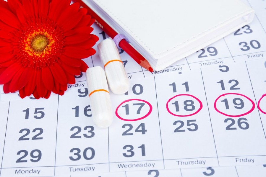 календарь менструального цикла