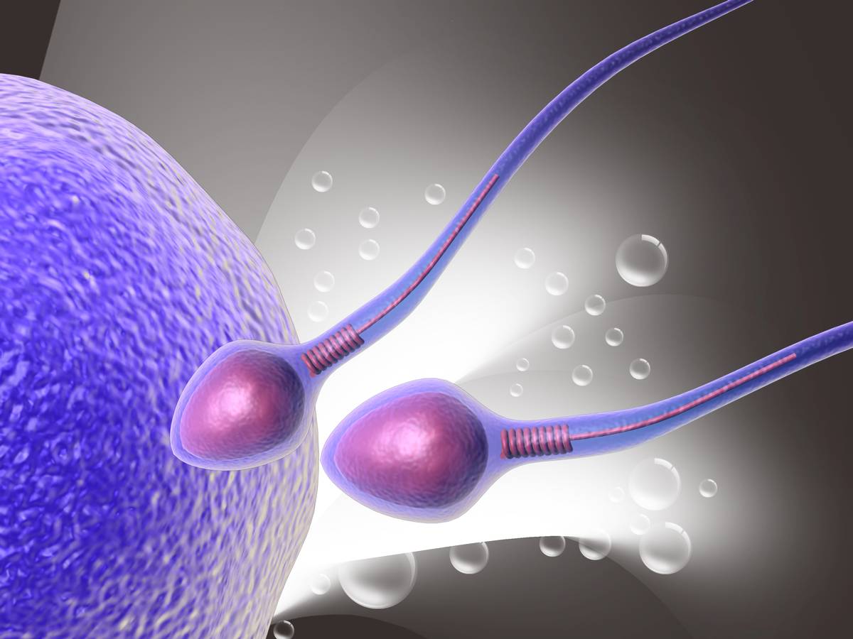 нарушение подвижности и жизнеспособности сперматозоидов