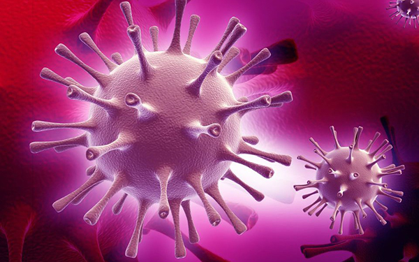 Герпес вызывается двумя типами вируса HSV-1 или HSV-2