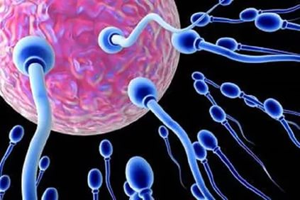 Подвижность спермиев