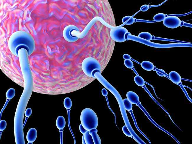 ПСА – это фермент белковой природы, выделяемый из простатического сока, он увеличивает подвижность спермиев.