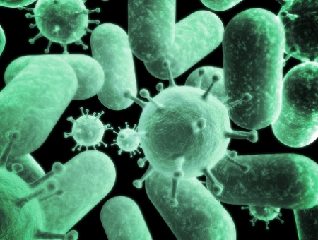 бактерии как причины венерических заболеваний