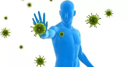 иммунитет при инфекциях мочеполовой системы
